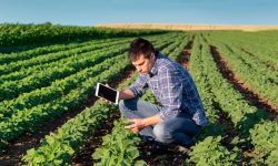 Producción agropecuaria